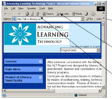 Example of a webpage displayed in Internet Explorer.