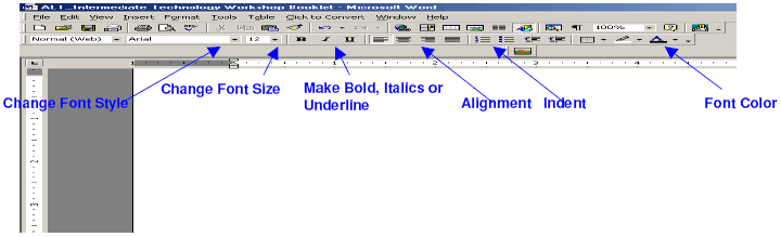 Some of the options available in Microsoft Word