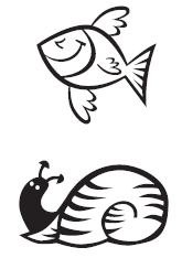 fish and snail