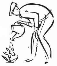 man watering flower