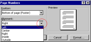 Page Numbers Dialog Box