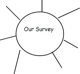 Our Survey