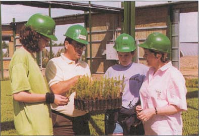 picture of four person looking at a plant