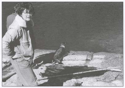 picture of woman and a seal