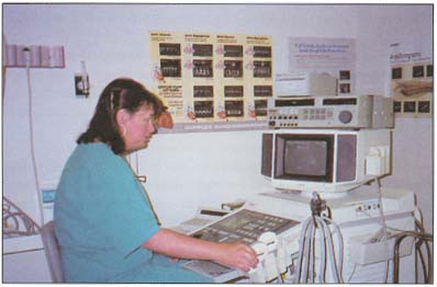 woman working on computer