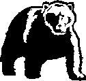 graphic - black bear