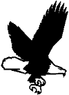 graphic - bald eagle
