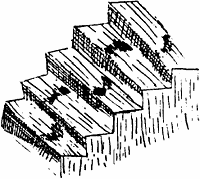 graphic - footprints on the stair