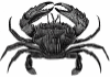 graphic of a crab