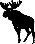 graphic of a Moose