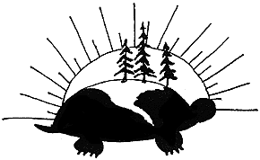 Turtle Island image