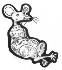 A mouse