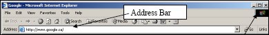 Screenshot of the address bar