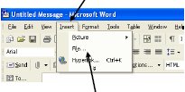 Screenshot of Microsoft Word message window