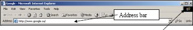 Screenshot of the address bar in Internet Explorer