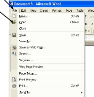 Screenshot of Microsoft Word File drop down menu