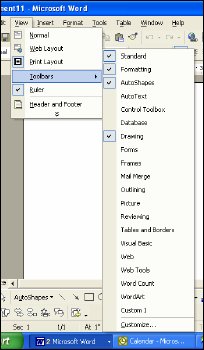 Screenshot of Microsoft Word View menu