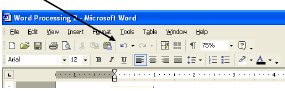 Screenshot of Microsoft Word toolbar