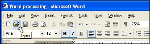 Screenshot of Microsoft Word toolbar