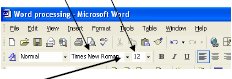 Screenshot of Microsoft Word toolbar