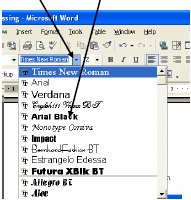 Screenshot of font style drop down menu