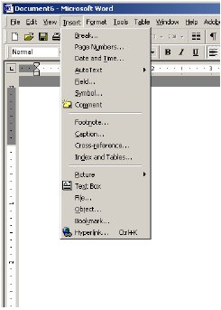 Screenshot of a drop down menu in Microsoft Word