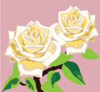 Two yellow roses