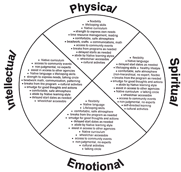 graphic - drawing of a holistic approach wheel of information