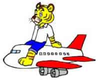 tiger on a plane