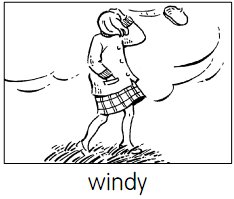 windy