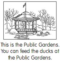 this is the public gardens. you can eed the ducks at the public gardens.