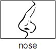 nose