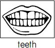 teeth