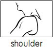 shoulder