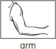 arm