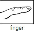 finger