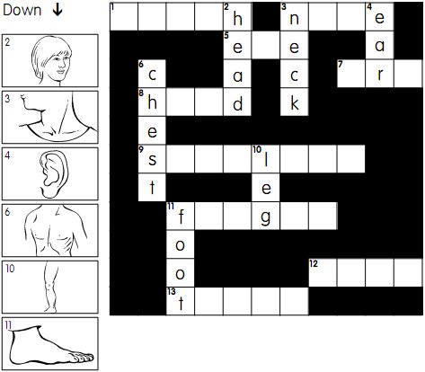 crossword puzzle