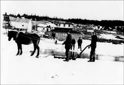 photo of men  with a horse cutting ice on a river