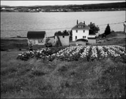 photo of a farm beside water