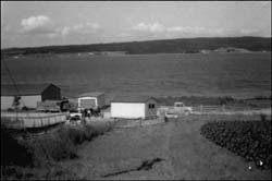 photo of buildings on a shoreline