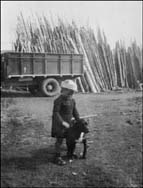 photo of a small boy and a dog