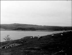 photo of a coastal community