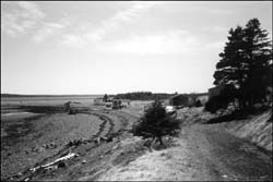 photo of a sea coast