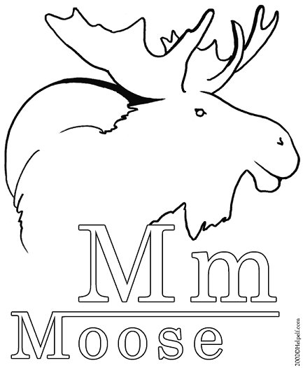 M moose