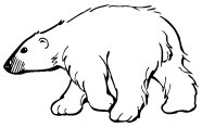 a polar bear