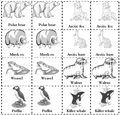 Memory Game of artic animals