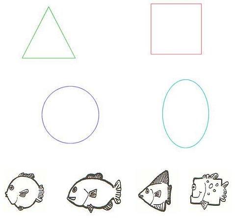 a triangle, square, circle, and oval - a circular fish, an oval fish, triangle fish, and a square fish