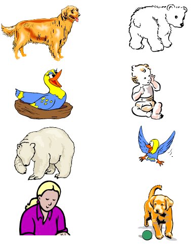 match the mother to the baby