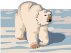 a polar bear out walking