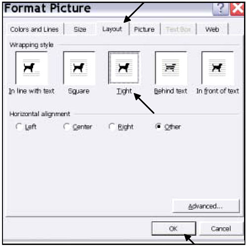 graphic - copy of a Microsoft Word menu